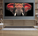 Elephant Wall Art Canvas Print