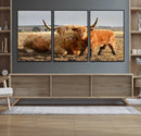 Highland Cow Canvas Wall Art Animal Print for Farm House