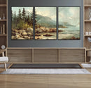 Abstract Acadia National Park Wall Art Canvas Print -