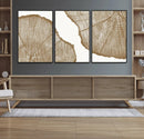 Rustic Brown Tree Ring Wall Art Canvas Print – Framed and