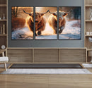 Scottish Highland Cow Horn Farm Wall Art Canvas Print
