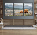 Highland Cow Horn Farm Wall Art Canvas Print