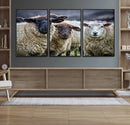 Charming Sheep Portrait Wall Art – Trio of Woolly Companions by MyGreatCanvas | Canvas Wall Art Prints | Photo Prints & Wall Decor