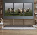 Flock of Sheep in a Mystical Fog – Pastoral Wall Art Canvas by MyGreatCanvas | Canvas Wall Art Prints | Photo Prints & Wall Decor
