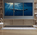 Whale under Ocean Wall Art Canvas Print