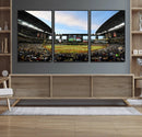 Arizona Diamondbacks Team Print - Phoenix Chase Field