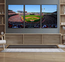 Cincinnati Reds Baseball Canvas Print - American Ball