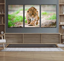 Leopard on the Prowl - Stunning Large Framed Leopard Wall