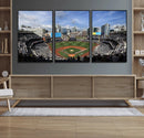 San Diego Padres Baseball Team Print - Petco Park Stadium