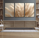 Pampas Grass Canvas Wall Art - Elegant Neutral Decor for