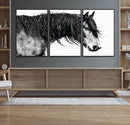 Black Horse Wall Art Canvas Print – Elegant Farmhouse Decor