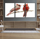 Cardinal Canvas Wall Art - Male and Female Cardinal Print -