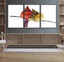 Cardinal Bird Canvas Wall Art - Male and Female Cardinal
