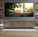 Lotus Flower Wall Art Canvas Print, Water Lily Large Wall