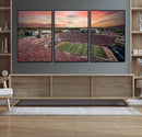 Indiana Memorial Stadium Wall Art Canvas Print, Framed