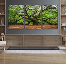 Majestic Oak Tree Wall Art Canvas Print – Ancient Branches by MyGreatCanvas | Canvas Wall Art Prints | Photo Prints & Wall Decor