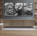 Ancient Oak Wall Art Canvas Print, Majestic Twisted Branches by MyGreatCanvas | Canvas Wall Art Prints | Photo Prints & Wall Decor