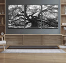 Ancient Oak Wall Art Canvas Print – Gnarled Tree Twisted by MyGreatCanvas | Canvas Wall Art Prints | Photo Prints & Wall Decor
