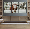 Texas Longhorn Wall Art Canvas Print – Framed Spotted Bull