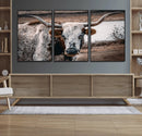 Texas Longhorn Wall Art Canvas Print – Framed Spotted Bull