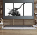 Longhorn Wall Art Canvas Print – Framed Monochrome Ranch Cow