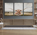 Texas Longhorn Wall Art Canvas Print – Framed Western Cow