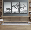 Joshua Tree Wall Art Canvas Print – Framed Black White