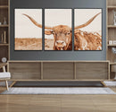 Longhorn Bull Wall Art Canvas Print – Framed Western Cow