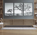 Joshua Trees Wall Art Canvas Print – Framed Black White