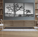 Joshua Tree Wall Art Canvas Print – Framed Monochrome Desert