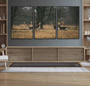 Deer Wall Art Canvas Print – Framed Rustic Wildlife Stags