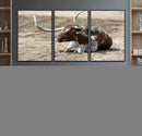 Texas Longhorn Wall Art Canvas Print – Framed Country Living