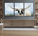 Texas Longhorn Wall Art Canvas Print – Framed Western Rustic