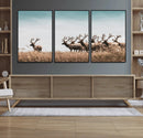 Elk Herd Wall Art Canvas Print – Framed Wildlife Photography