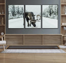 Moose Snow Wall Art Canvas Print – Framed Winter Wildlife