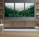 Misty Green Forest Canvas Print – Framed Serene Foggy Pine