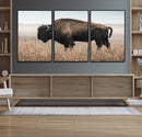 American Bison Wall Art Canvas Print – Majestic Buffalo