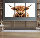Scottish Highland Cow Canvas Print, Framed Highland Cow