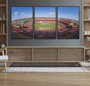 William Brice Stadium Wall Art Canvas Print – Stadium Crowd by MyGreatCanvas | Canvas Wall Art Prints | Photo Prints & Wall Decor
