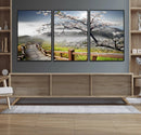 Sakura Cherry Blossom Pathway Canvas Wall Art – Tranquil