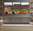 Tennessee Neyland Stadium Wall Art, Sports Arena Canvas by MyGreatCanvas | Canvas Wall Art Prints | Photo Prints & Wall Decor