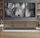 Wild Old Elephant Wall Art Canvas Print