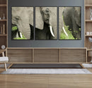 Wild Elephant Wall Art Canvas Print by MyGreatCanvas | Canvas Wall Art Prints | Photo Prints & Wall Decor
