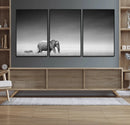 Elephand and Zebra Wall Art Canvas Print, Modern Artwork