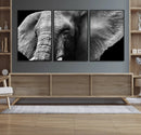 Big Elephant Close Up Wall Art Canvas Print