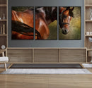 Majestic Brown Horse Wall Art Canvas Print – Framed