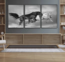 Wild Horses Wall Art Canvas Print – Framed Black and White