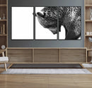 Black and White Grizzly 399 Bear Canvas Print Wall Art | by MyGreatCanvas | Canvas Wall Art Prints | Photo Prints & Wall Decor
