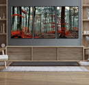 Autumn Forest Wall Art – Enchanting Red Leaves Canvas Print,