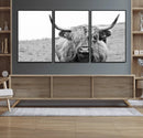 Newfoundland Cow Art Wall Art, Black White Cow Art Wall Art